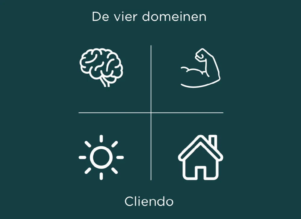 Cliendo: de vier domeinen, gezondheid, daginvulling en woonomstandigheden
